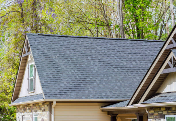 Best Hot Roofs  in Hillsdale, MI