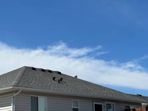 Best Roof Ventilation Installation  in Hillsdale, MI